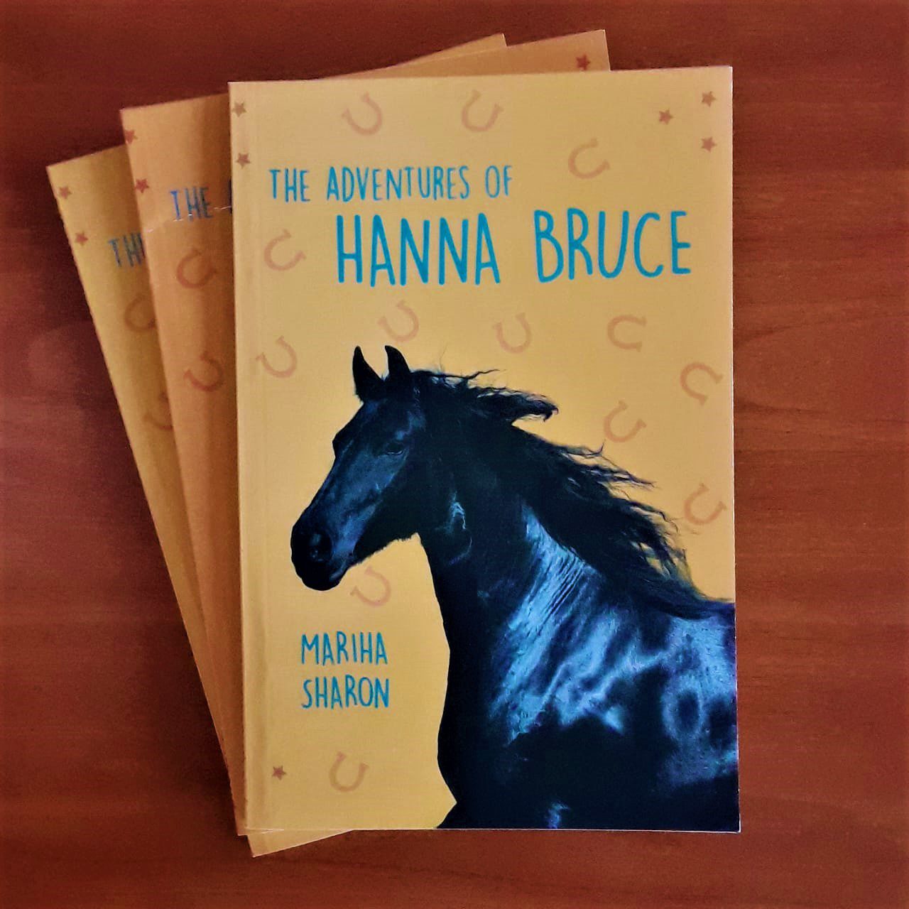 The Adventures of Hanna Bruce - The Adventures of Hanna Bruce - Image 2