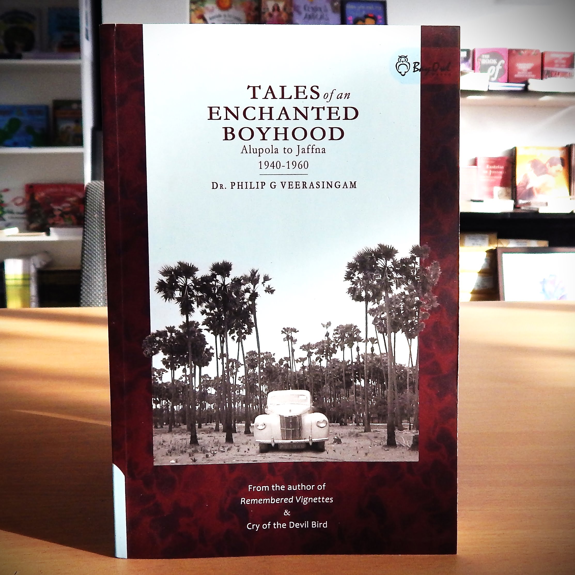 Tales of an Enchanted Boyhood - Tales of an Enchanted Boyhood