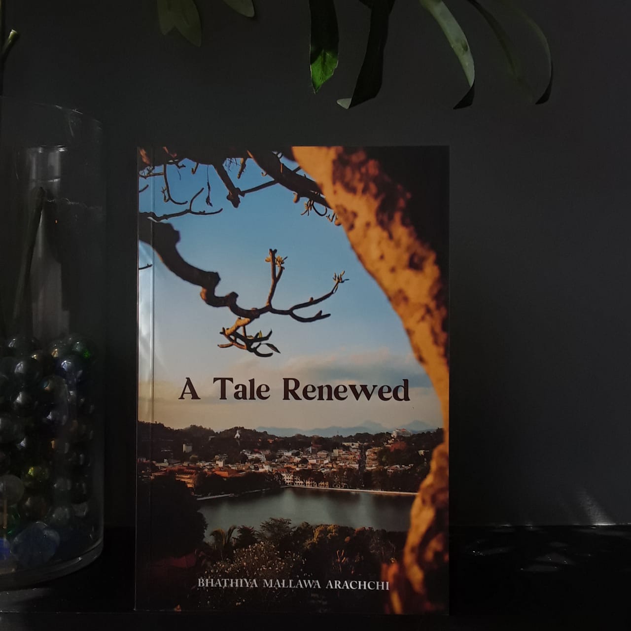 A Tale Renewed - A Tale Renewed - Image 4