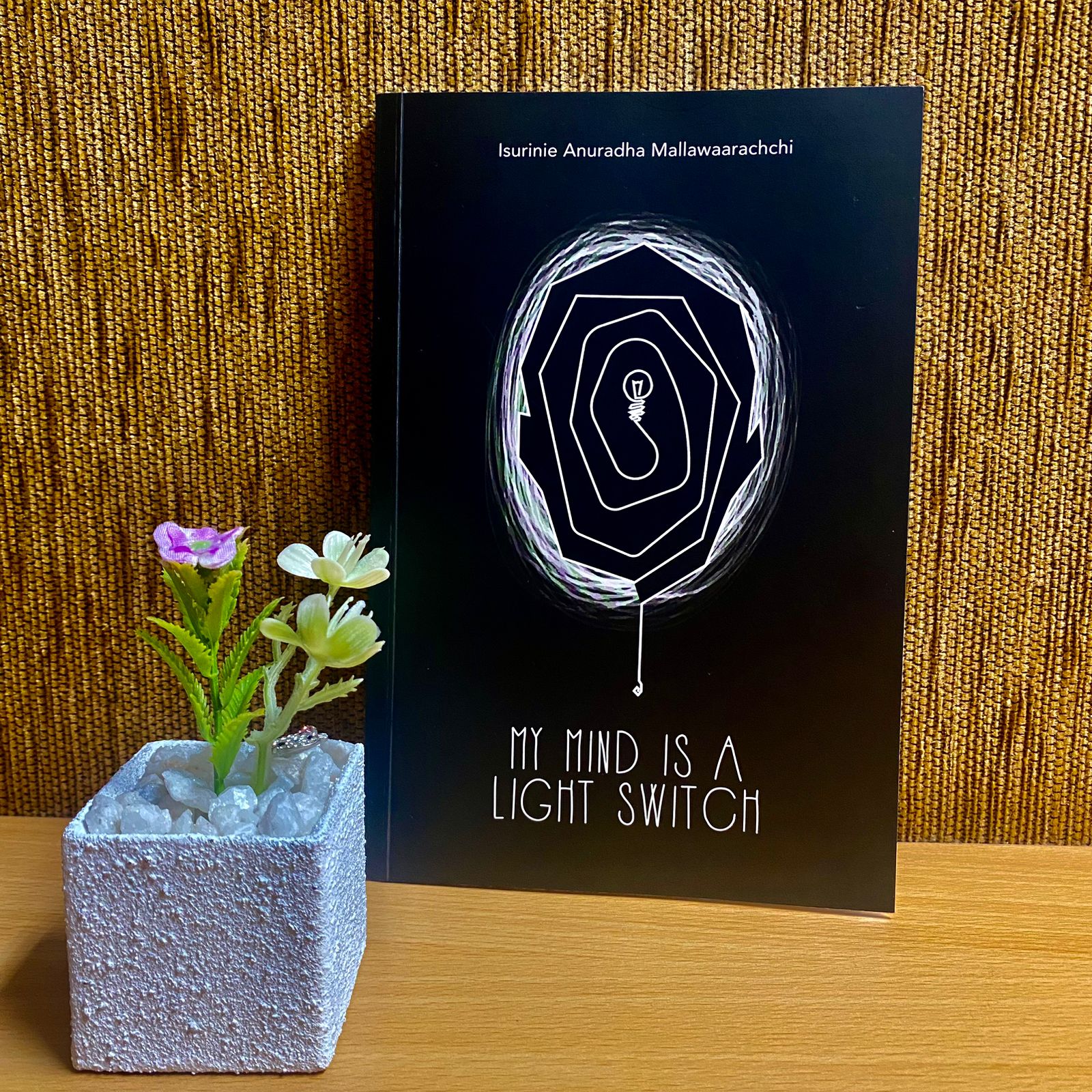 My Mind is a Light Switch - My Mind is a Light Switch - Image 2