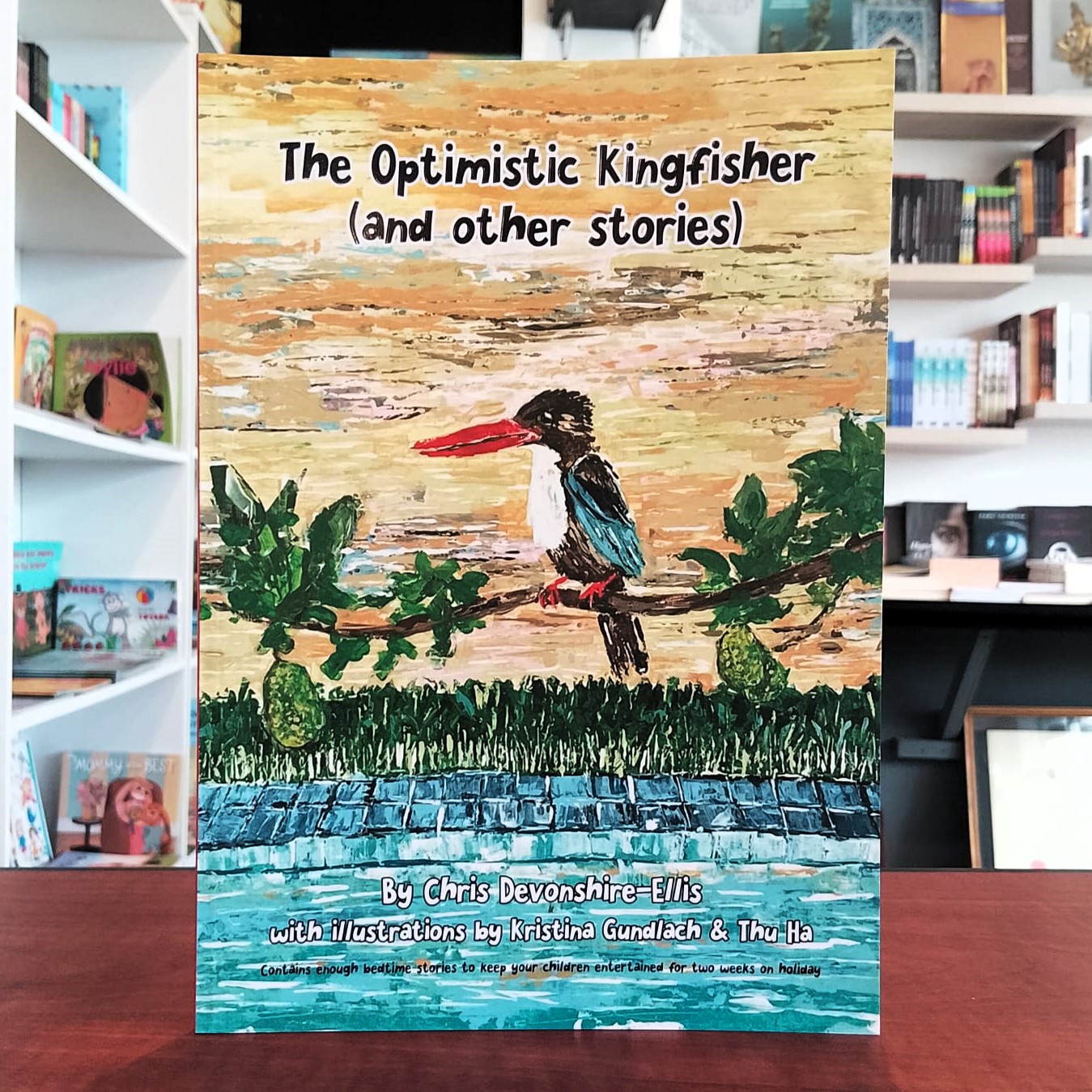 The Optimistic Kingfisher – a fun, natural history guide for children