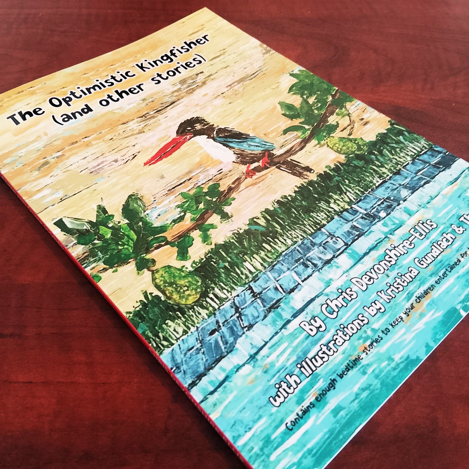 The Optimistic Kingfisher and other stories - The Optimistic Kingfisher and other stories - Image 2