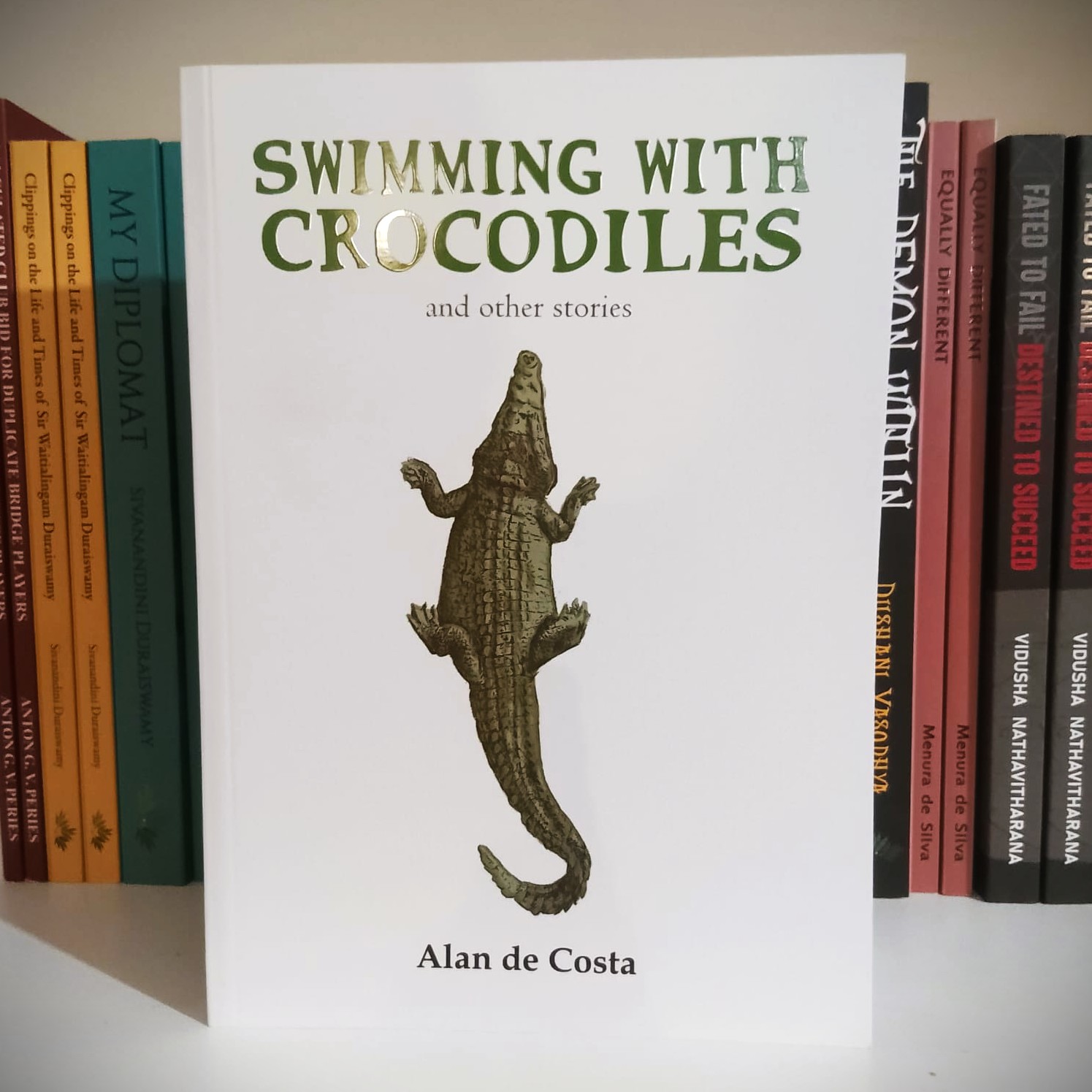 Swimming With Crocodiles